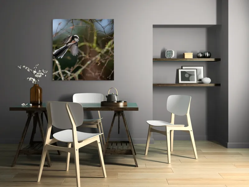Tablou Canvas, "Zbor de primăvară printre crengi", Pasăre, Aripi, Ramuri, Cer, Zbor, Natură, Mișcare, Penaj, Frunze, Primăvară, 100 x 100 cm – poza 6