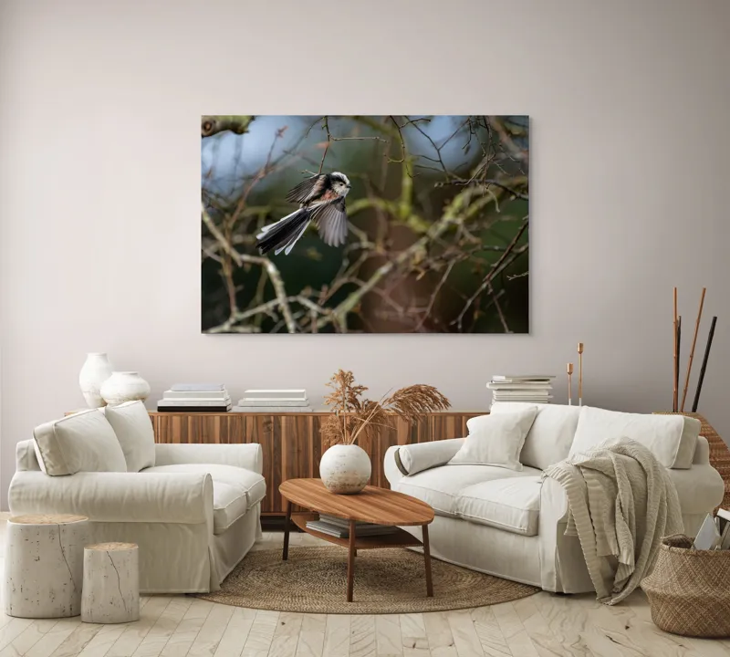 Tablou Canvas, "Zbor de primăvară printre crengi", Pasăre, Aripi, Ramuri, Cer, Zbor, Natură, Mișcare, Penaj, Frunze, Primăvară, 150 x 100 cm – poza 3