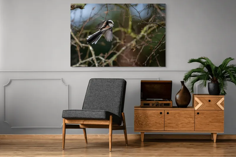 Tablou Canvas, "Zbor de primăvară printre crengi", Pasăre, Aripi, Ramuri, Cer, Zbor, Natură, Mișcare, Penaj, Frunze, Primăvară, 150 x 100 cm – poza 8
