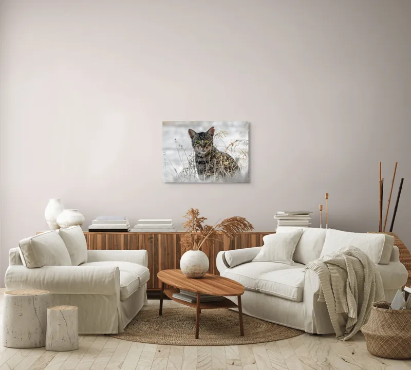 Tablou Canvas, "Pisica sălbatică în iarba uscată", Pisică, Privire, Iarbă, Tufișuri, Blană, Verde, Ochi, Natură, Tranquilitate, Feline., 70 x 50 cm – poza 6