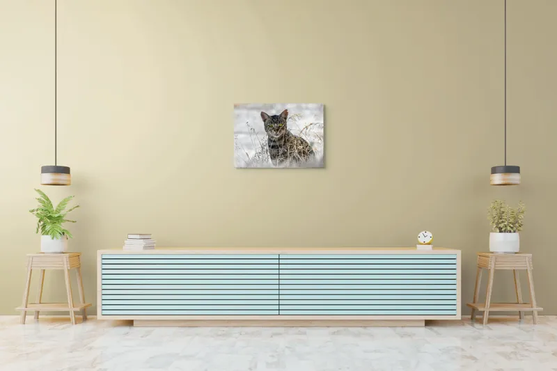 Tablou Canvas, "Pisica sălbatică în iarba uscată", Pisică, Privire, Iarbă, Tufișuri, Blană, Verde, Ochi, Natură, Tranquilitate, Feline., 70 x 50 cm – poza 7