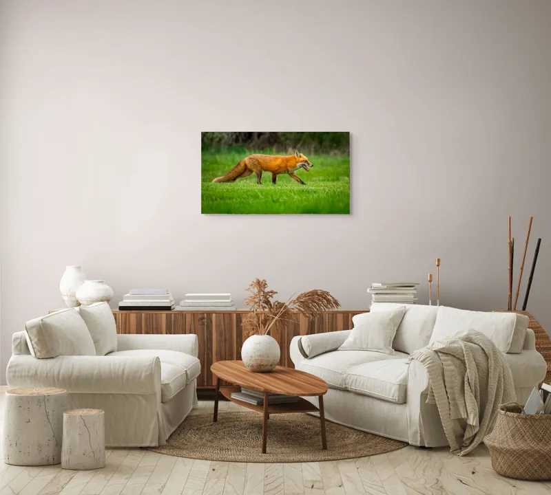 Tablou Canvas, "Vulpea în căutarea prăzii verzii", Vulpe, Roșcată, Pajiște, Verdiș, Alertă, Natură, Peisaj, 90 x 50 cm – poza 4