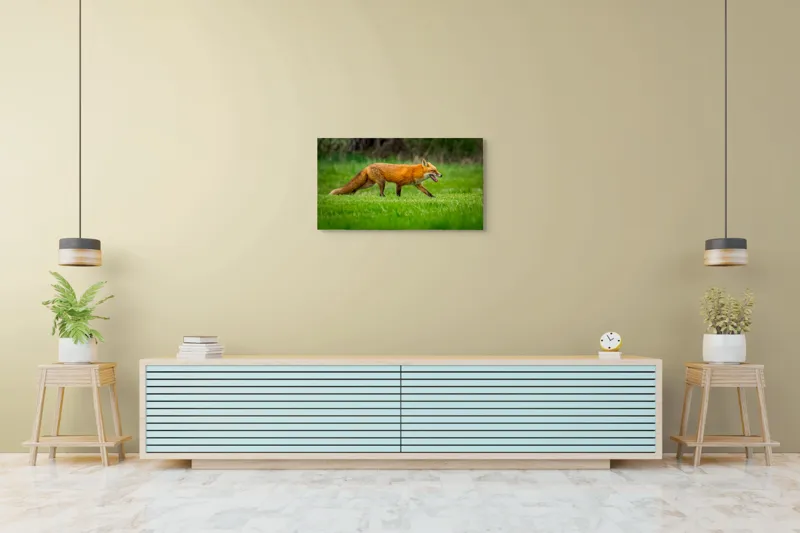 Tablou Canvas, "Vulpea în căutarea prăzii verzii", Vulpe, Roșcată, Pajiște, Verdiș, Alertă, Natură, Peisaj, 90 x 50 cm – poza 5
