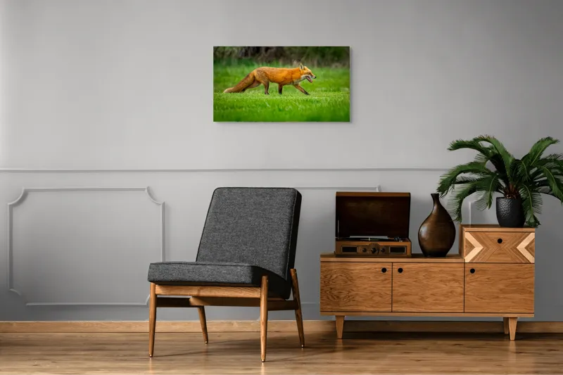 Tablou Canvas, "Vulpea în căutarea prăzii verzii", Vulpe, Roșcată, Pajiște, Verdiș, Alertă, Natură, Peisaj, 90 x 50 cm – poza 6