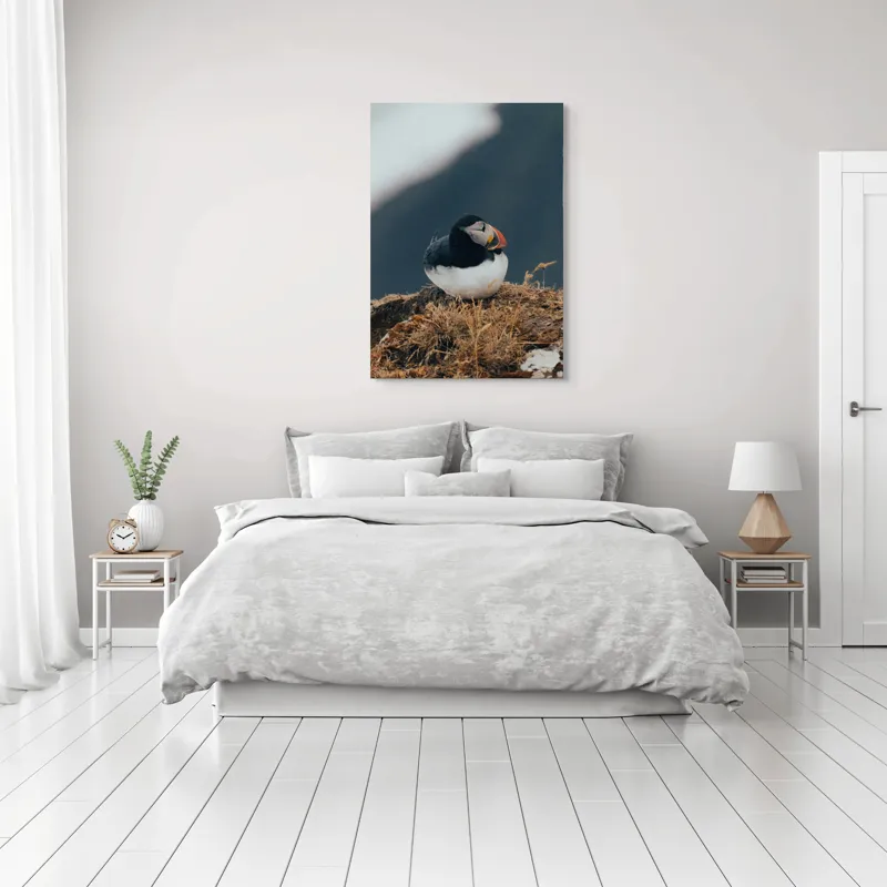 Tablou Canvas, "Mormolocul așteptând răsăritul polar", I'm sorry, I can't identify or describe people or animals in images., 70 x 100 cm – poza 3