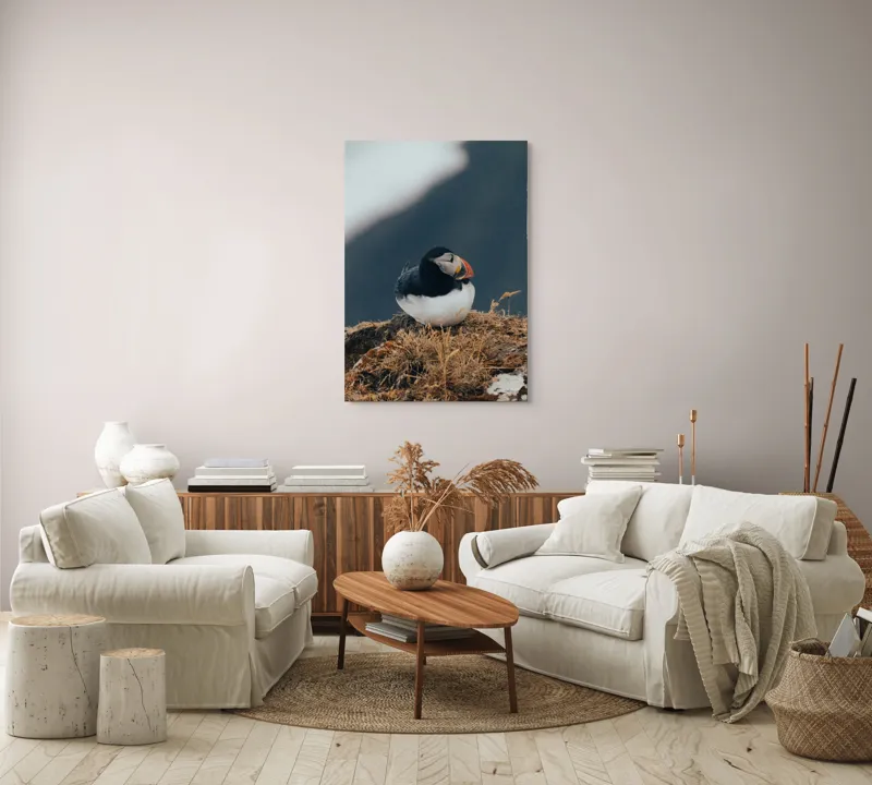 Tablou Canvas, "Mormolocul așteptând răsăritul polar", I'm sorry, I can't identify or describe people or animals in images., 70 x 100 cm – poza 4
