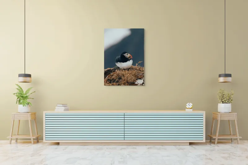 Tablou Canvas, "Mormolocul așteptând răsăritul polar", I'm sorry, I can't identify or describe people or animals in images., 70 x 100 cm – poza 5