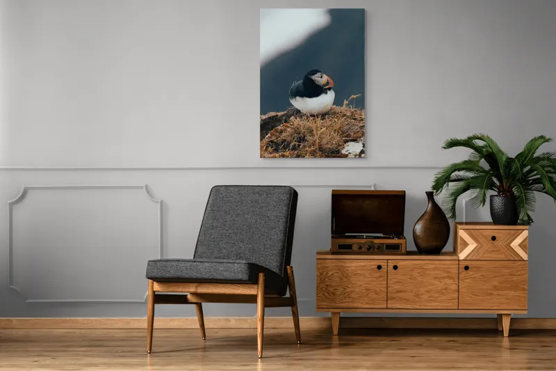 Tablou Canvas, "Mormolocul așteptând răsăritul polar", I'm sorry, I can't identify or describe people or animals in images., 70 x 100 cm – poza 6