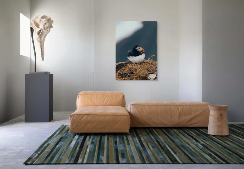Tablou Canvas, "Mormolocul așteptând răsăritul polar", I'm sorry, I can't identify or describe people or animals in images., 70 x 100 cm – poza 7