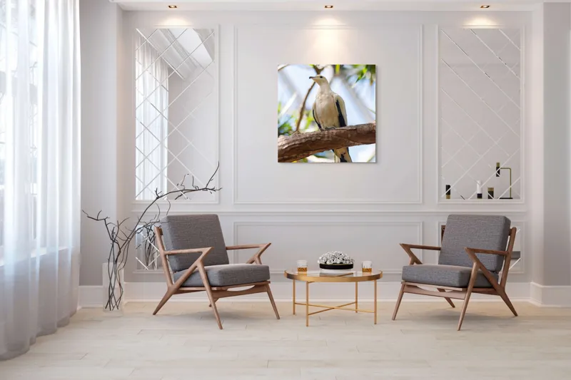 Tablou Canvas, "Porumbel alb pe creangă înverzită", Pasăre, Alb, Creangă, Ochi Negru, Frunze Verzi, Aripă, Cer, Lumină, 100 x 100 cm – poza 7
