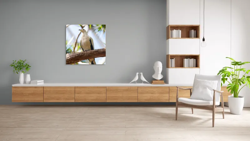 Tablou Canvas, "Porumbel alb pe creangă înverzită", Pasăre, Alb, Creangă, Ochi Negru, Frunze Verzi, Aripă, Cer, Lumină, 100 x 100 cm – poza 8
