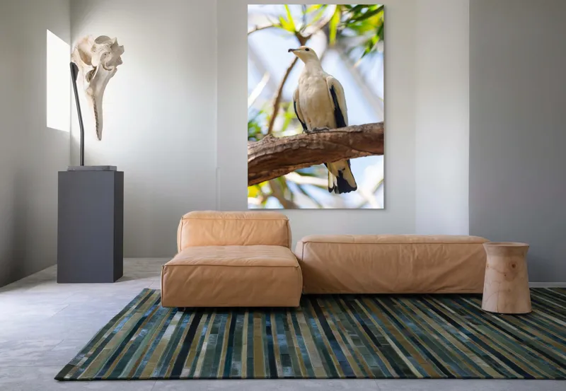 Tablou Canvas, "Porumbel alb pe creangă înverzită", Pasăre, Alb, Creangă, Ochi Negru, Frunze Verzi, Aripă, Cer, Lumină, 100 x 150 cm – poza 7