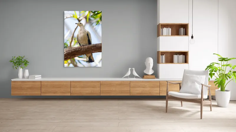 Tablou Canvas, "Porumbel alb pe creangă înverzită", Pasăre, Alb, Creangă, Ochi Negru, Frunze Verzi, Aripă, Cer, Lumină, 100 x 150 cm – poza 8