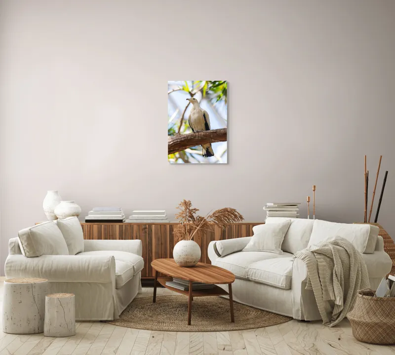 Tablou Canvas, "Porumbel alb pe creangă înverzită", Pasăre, Alb, Creangă, Ochi Negru, Frunze Verzi, Aripă, Cer, Lumină, 50 x 70 cm – poza 4