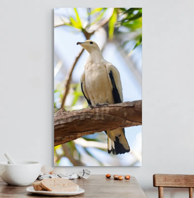 Tablou Canvas, "Porumbel alb pe creangă înverzită", Pasăre, Alb, Creangă, Ochi Negru, Frunze Verzi, Aripă, Cer, Lumină, 50 x 90 cm – poza 3