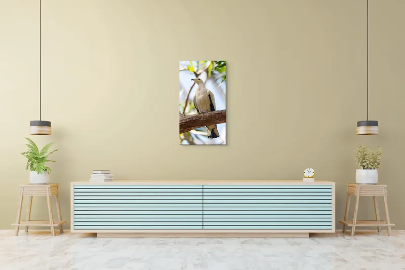 Tablou Canvas, "Porumbel alb pe creangă înverzită", Pasăre, Alb, Creangă, Ochi Negru, Frunze Verzi, Aripă, Cer, Lumină, 50 x 90 cm – poza 6