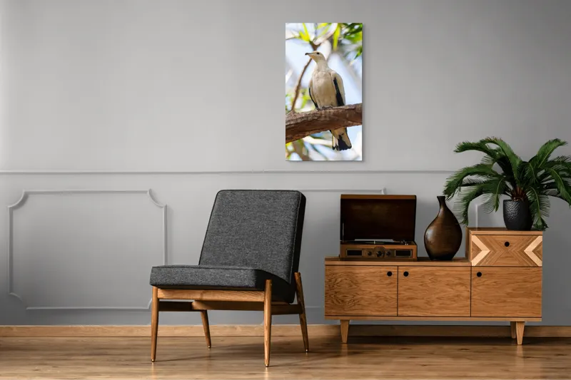 Tablou Canvas, "Porumbel alb pe creangă înverzită", Pasăre, Alb, Creangă, Ochi Negru, Frunze Verzi, Aripă, Cer, Lumină, 50 x 90 cm – poza 8