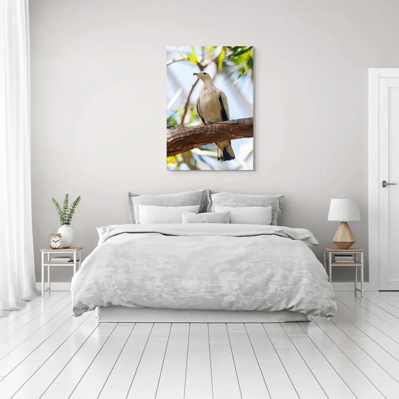 Tablou Canvas, "Porumbel alb pe creangă înverzită", Pasăre, Alb, Creangă, Ochi Negru, Frunze Verzi, Aripă, Cer, Lumină, 70 x 100 cm – poza 3