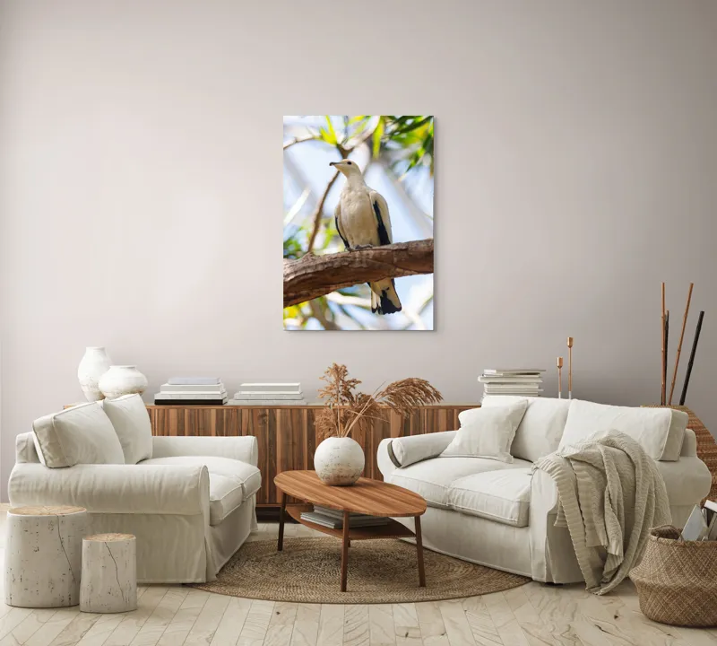 Tablou Canvas, "Porumbel alb pe creangă înverzită", Pasăre, Alb, Creangă, Ochi Negru, Frunze Verzi, Aripă, Cer, Lumină, 70 x 100 cm – poza 4