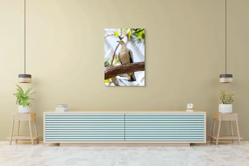 Tablou Canvas, "Porumbel alb pe creangă înverzită", Pasăre, Alb, Creangă, Ochi Negru, Frunze Verzi, Aripă, Cer, Lumină, 70 x 100 cm – poza 5