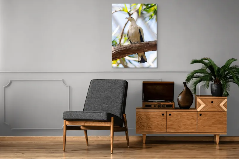 Tablou Canvas, "Porumbel alb pe creangă înverzită", Pasăre, Alb, Creangă, Ochi Negru, Frunze Verzi, Aripă, Cer, Lumină, 70 x 100 cm – poza 6