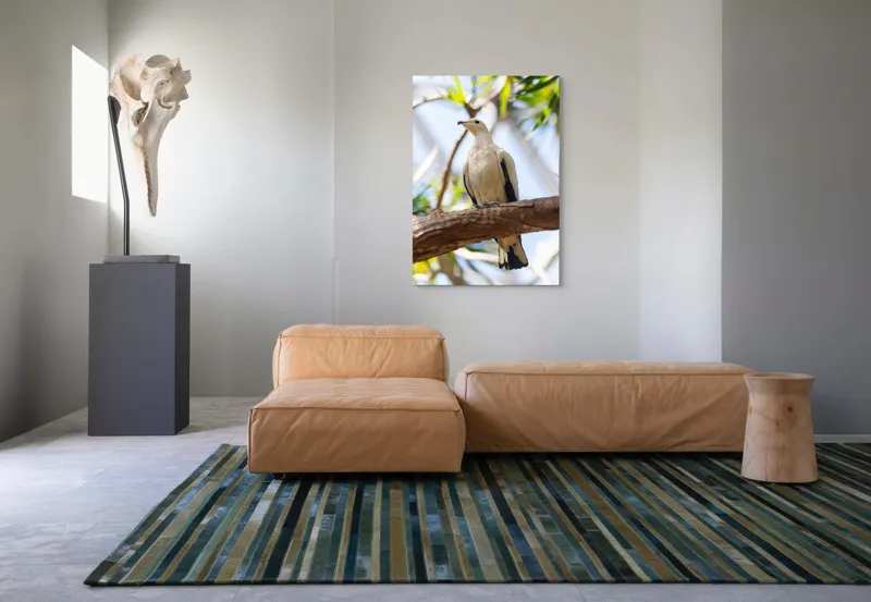 Tablou Canvas, "Porumbel alb pe creangă înverzită", Pasăre, Alb, Creangă, Ochi Negru, Frunze Verzi, Aripă, Cer, Lumină, 70 x 100 cm – poza 7