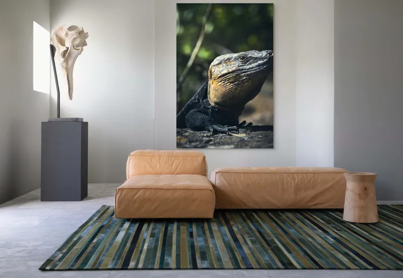 Tablou Canvas, "Vânătoarea Undelor Soarelui de Vară", Șopârlă, Soare, Solitar, Natură, Umbră, Textură, Piele, Contemplativ, Reptilă, Ambient, Vegetație, Observație, 100 x 150 cm – poza 7