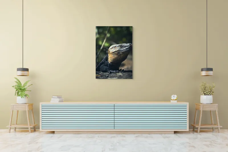 Tablou Canvas, "Vânătoarea Undelor Soarelui de Vară", Șopârlă, Soare, Solitar, Natură, Umbră, Textură, Piele, Contemplativ, Reptilă, Ambient, Vegetație, Observație, 70 x 100 cm – poza 5