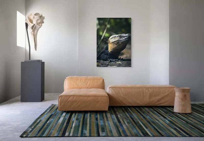 Tablou Canvas, "Vânătoarea Undelor Soarelui de Vară", Șopârlă, Soare, Solitar, Natură, Umbră, Textură, Piele, Contemplativ, Reptilă, Ambient, Vegetație, Observație, 70 x 100 cm – poza 7