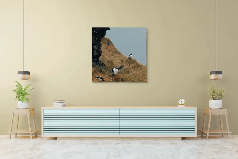 Tablou Canvas, "Puffini pe stâncile îmbobocite ale falezei", Puffini, Stâncă, Iarbă, Ocean, Pene, Natură, Aripi, 100 x 100 cm – poza 5