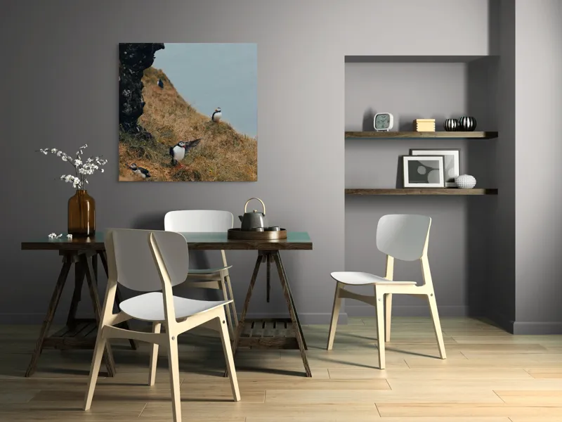 Tablou Canvas, "Puffini pe stâncile îmbobocite ale falezei", Puffini, Stâncă, Iarbă, Ocean, Pene, Natură, Aripi, 100 x 100 cm – poza 6