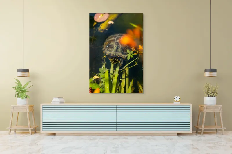 Tablou Canvas, "Broasca țestoasă explorând iazul liniștit", Broască, Țestoasă, Apă, Frunze, Plante, Floare, Colorat, Natură, Relaxare, 100 x 150 cm – poza 4