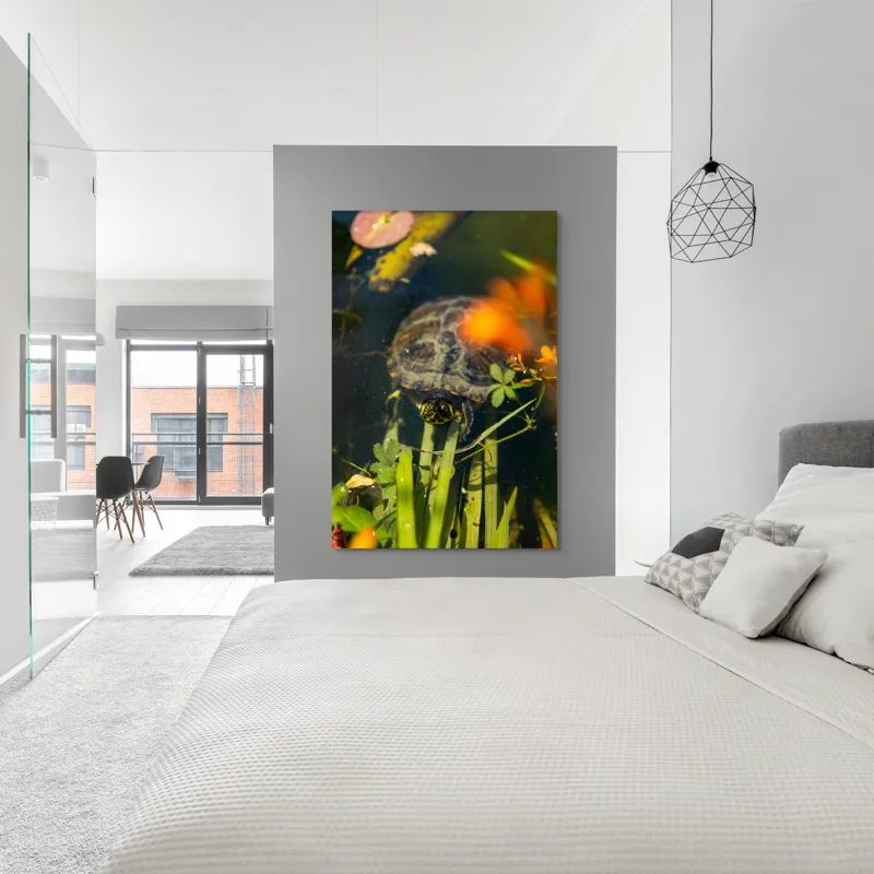 Tablou Canvas, "Broasca țestoasă explorând iazul liniștit", Broască, Țestoasă, Apă, Frunze, Plante, Floare, Colorat, Natură, Relaxare, 100 x 150 cm – poza 5