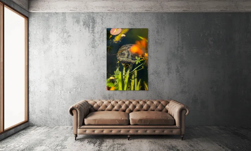 Tablou Canvas, "Broasca țestoasă explorând iazul liniștit", Broască, Țestoasă, Apă, Frunze, Plante, Floare, Colorat, Natură, Relaxare, 100 x 150 cm – poza 6