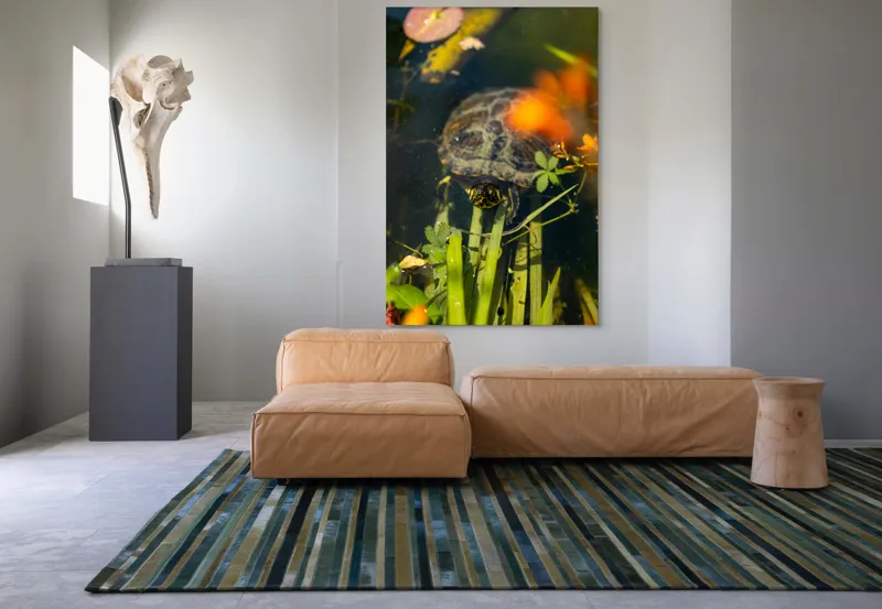 Tablou Canvas, "Broasca țestoasă explorând iazul liniștit", Broască, Țestoasă, Apă, Frunze, Plante, Floare, Colorat, Natură, Relaxare, 100 x 150 cm – poza 7