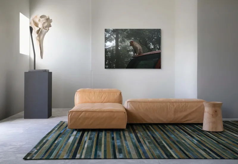 Tablou Canvas, "Maimuța contemplativă în pădurea cețoasă", 100 x 70 cm – poza 7