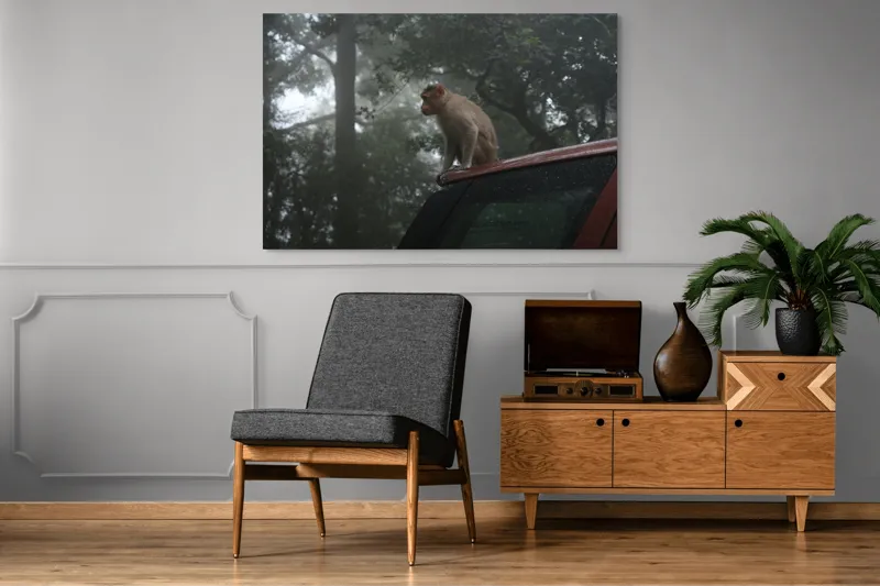 Tablou Canvas, "Maimuța contemplativă în pădurea cețoasă", 150 x 100 cm – poza 8