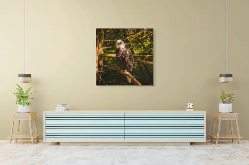 Tablou Canvas, "Vulturul regal în pădurea tăcută", Vultur, Majestuos, Natură, Pene, Copaci, Lumină, Conifere, Calmitate, 100 x 100 cm – poza 5