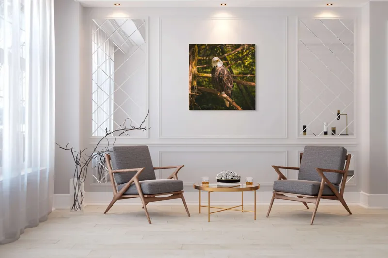 Tablou Canvas, "Vulturul regal în pădurea tăcută", Vultur, Majestuos, Natură, Pene, Copaci, Lumină, Conifere, Calmitate, 100 x 100 cm – poza 7