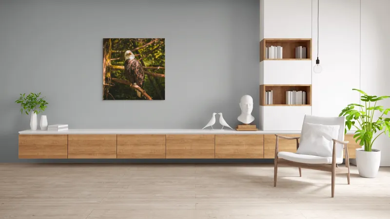 Tablou Canvas, "Vulturul regal în pădurea tăcută", Vultur, Majestuos, Natură, Pene, Copaci, Lumină, Conifere, Calmitate, 100 x 100 cm – poza 8