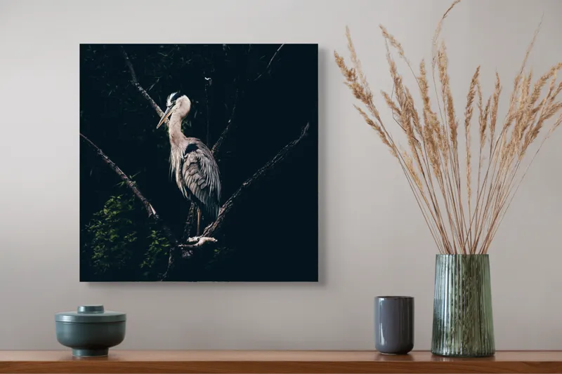 Tablou Canvas, "Egreta singuratică la apusul zilei", 50 x 50 cm – poza 4