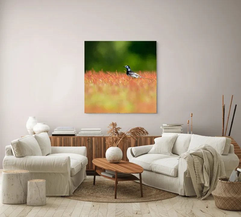 Tablou Canvas, "Pasărea singuratică printre fire roșietice", Pasăre, Câmp, Colorat, Vegetație, Lumină, Singurătate, Natură, 100 x 100 cm – poza 3