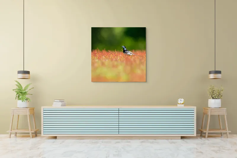 Tablou Canvas, "Pasărea singuratică printre fire roșietice", Pasăre, Câmp, Colorat, Vegetație, Lumină, Singurătate, Natură, 100 x 100 cm – poza 5