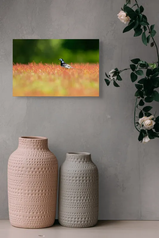 Tablou Canvas, "Pasărea singuratică printre fire roșietice", Pasăre, Câmp, Colorat, Vegetație, Lumină, Singurătate, Natură, 39 x 26 cm – poza 4