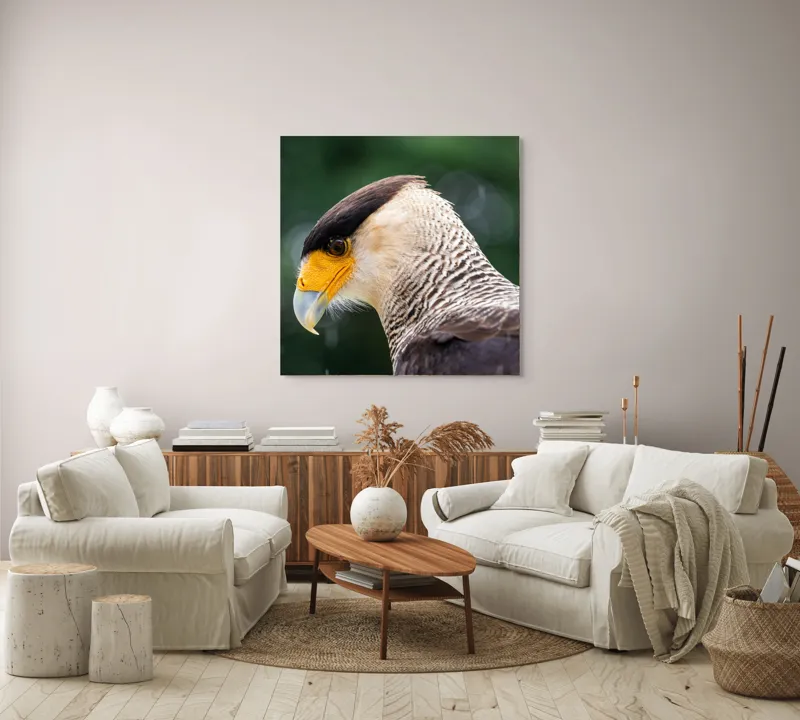Tablou Canvas, "Privirea enigmatică a pasării răpitoare", 100 x 100 cm – poza 3