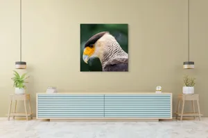 Tablou Canvas, "Privirea enigmatică a pasării răpitoare", 100 x 100 cm – poza 5