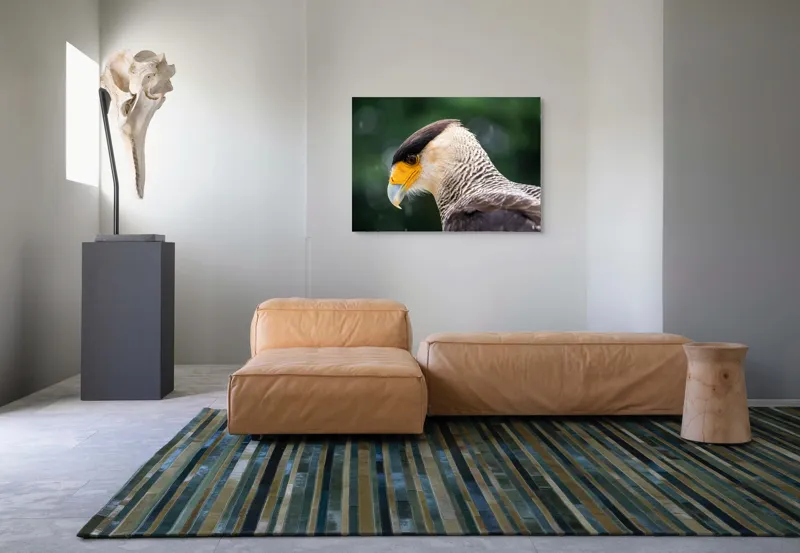 Tablou Canvas, "Privirea enigmatică a pasării răpitoare", 100 x 70 cm – poza 7