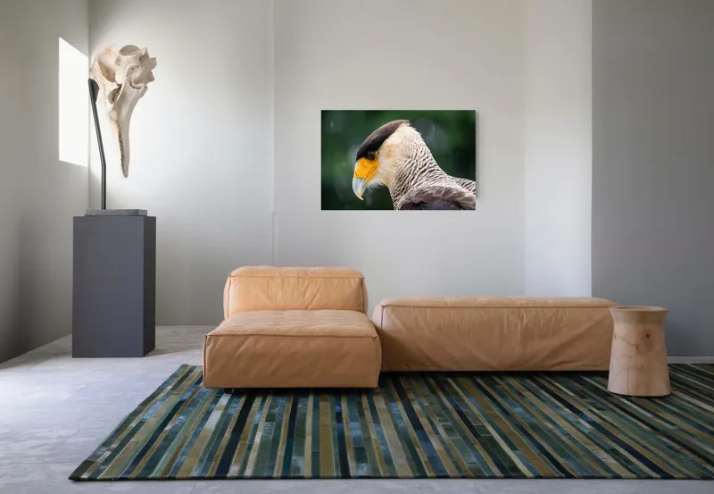 Tablou Canvas, "Privirea enigmatică a pasării răpitoare", 90 x 50 cm – poza 8