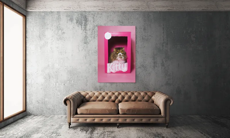 Tablou Canvas, "Pisica regală într-o cutie roz", Pisică, Cutie, Roz, Pufos, Privire, Etichetă, Fundal, Blană, Ochi, Drăguț, 100 x 150 cm – poza 6