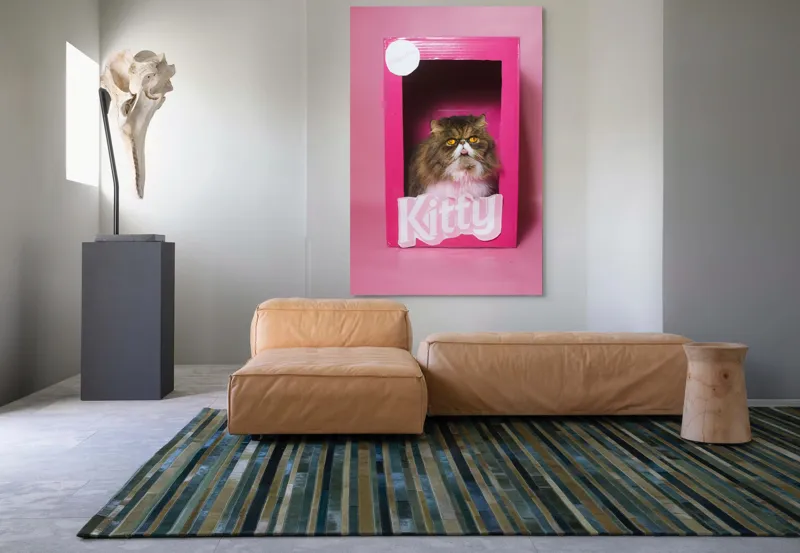 Tablou Canvas, "Pisica regală într-o cutie roz", Pisică, Cutie, Roz, Pufos, Privire, Etichetă, Fundal, Blană, Ochi, Drăguț, 100 x 150 cm – poza 7